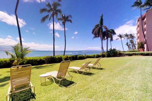 a group of chairs sitting on a lawn with palm trees at Maalaea Banyans 105 in Wailuku