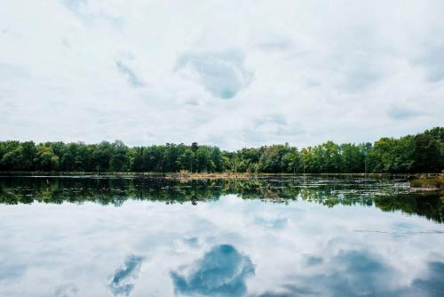 Tentrr - Pinelands Getaway – Photos 3