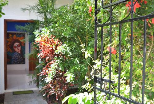 Giardino di Kinta Kan Hotel Boutique Cozumel