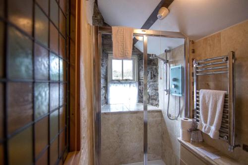 a bathroom with a shower and a glass shower at Penybanc Farm in Llandysul