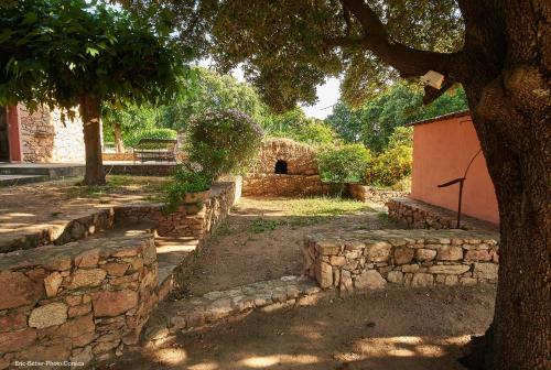 una pared de piedra junto a un árbol y un edificio en Maison L'Oranger avec piscine - Domaine E Case di Cuttoli, en Cuttoli-Corticchiato