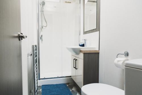 a bathroom with a shower and a toilet and a sink at Atlas Ovation Lodge in Auchterarder