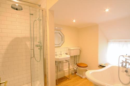 a bathroom with a shower and a toilet and a sink at The Rising Sun in Umberleigh Bridge