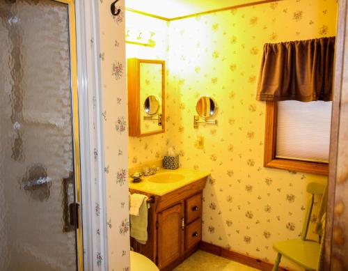 a bathroom with a sink and a mirror at The Nutmeg Inn in Meredith