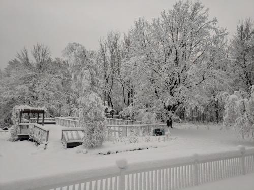 a snow covered yard with a fence and trees at The Nutmeg Inn in Meredith
