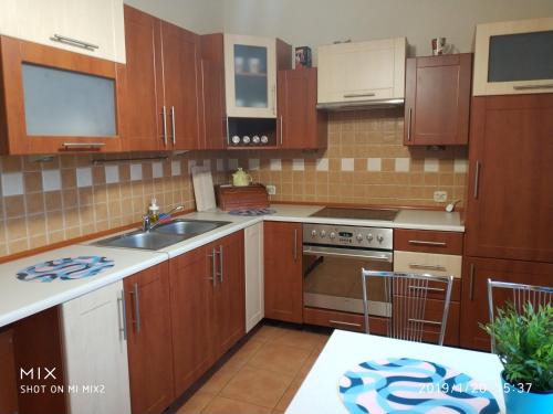 eine Küche mit Holzschränken und einem Waschbecken in der Unterkunft Apartament Sofia Agroturystyka in Ryczów