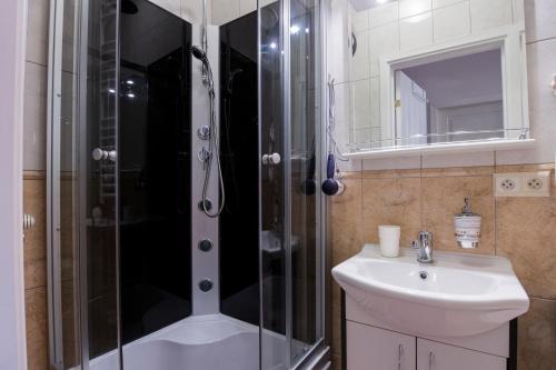 a bathroom with a shower and a sink at Bielski Guesthouse in Gdańsk