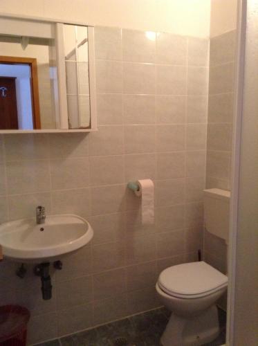 a bathroom with a toilet and a sink at Pansion Laguna in Metajna