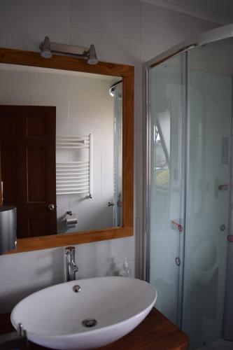 a bathroom with a sink and a mirror and a shower at Puerto Austral in Puerto Varas