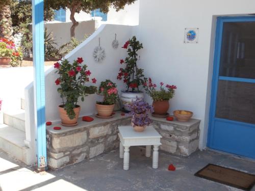 a bunch of potted plants sitting on a stair case at Villa Sophie in Naousa