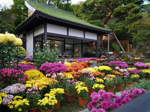 a display of colorful flowers in front of a building at Azumakan in Nihommatsu