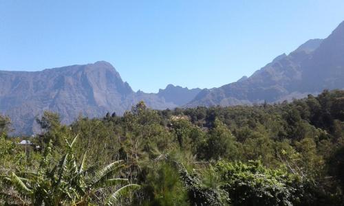 a mountain range with trees and mountains in the background at Les Lierrres in Cilaos