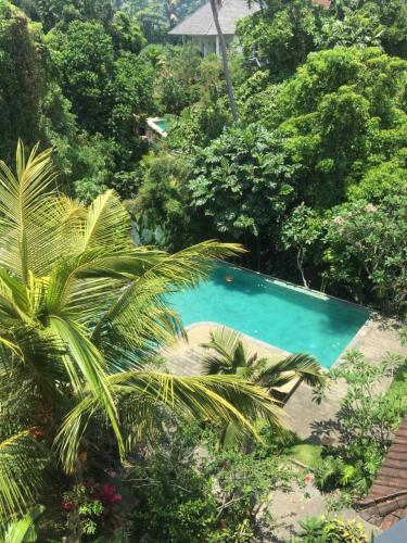 an overhead view of a swimming pool in a garden at Raka Rai Bungalows in Ubud