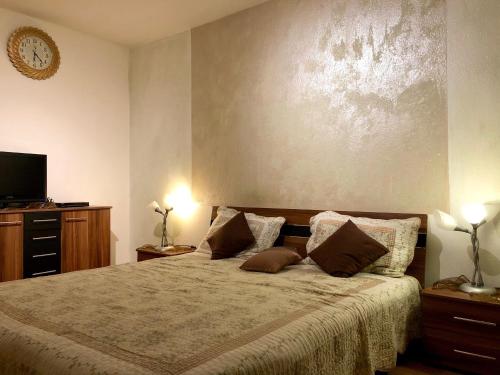 ハノーファーにあるClean&Comfort Apartments Near Hannover Fairgroundsのベッドルーム1室(大型ベッド1台、枕2つ付)