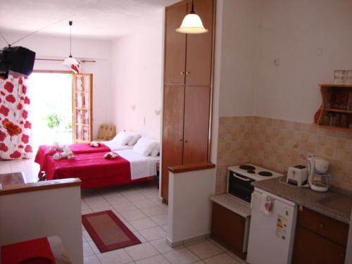 Η κουζίνα ή μικρή κουζίνα στο Ipsia Apartments 