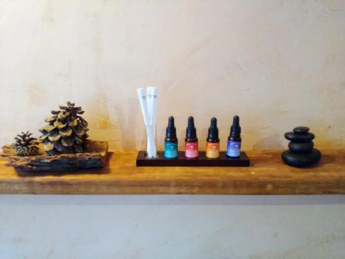 a shelf with bottles and a trophy and a cactus at Alliey & Spa Piscine Appart-hôtel Serre chevalier in Le Monêtier-les-Bains