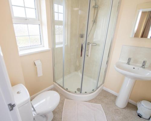 a bathroom with a shower and a toilet and a sink at The Black Horse Inn in Louth