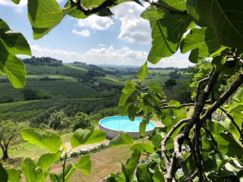 a view of a house in a vineyard from a tree at Casa di Romano, Al Tramonto in Marcialla