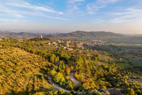 an aerial view of a town on a hill with trees at La Cotogna in Magione