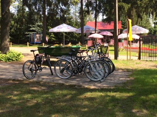 a group of bikes parked in a park at Borowiak in Szteklin