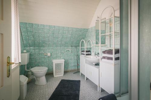 Baño de azulejos verdes con aseo y lavamanos en Boer en Soltau