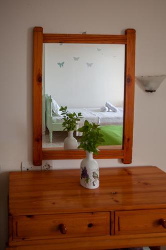 a mirror on top of a dresser with a plant at Eliza Apartments in Rethymno Town