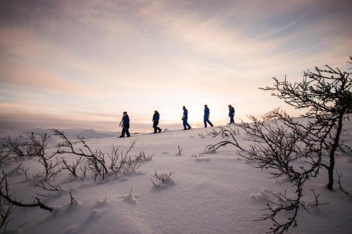 a group of people walking up a snow covered hill at Snowhotel Kirkenes in Kirkenes