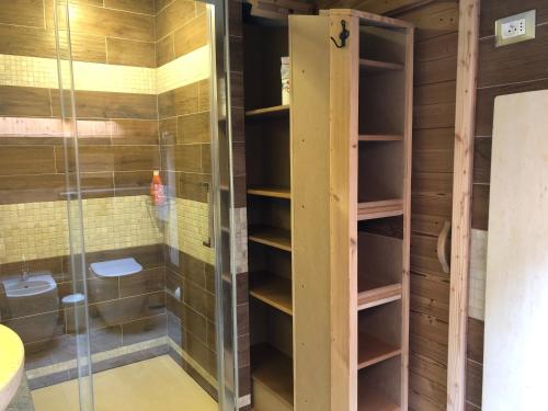 a bathroom with a shower and a toilet at Le joli nid in Les Deux Alpes