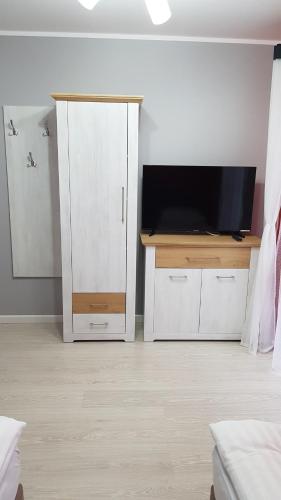 Μια τηλεόραση ή/και κέντρο ψυχαγωγίας στο Apartamenty Białowieża