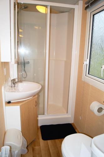 a bathroom with a sink and a shower and a toilet at Tingsryd Resort in Tingsryd