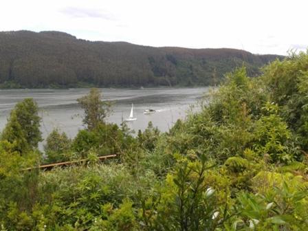 a boat in the water with trees and a river at La Rueda del Chucao in Valdivia