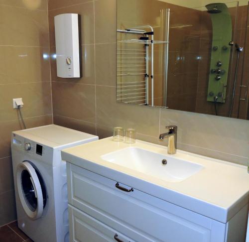 łazienka z umywalką i pralką w obiekcie 215 Apartment Wien 4-6 Pers 42m2 w mieście Klagenfurt
