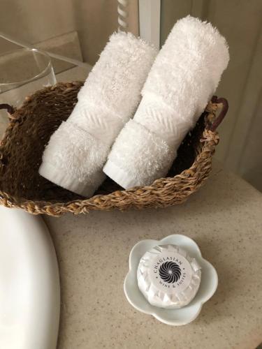 a basket filled with toilet paper on a counter at Chaglasian Wine & Suites in San Rafael