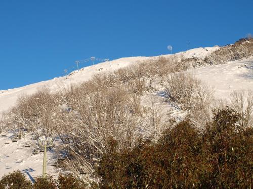 a snow covered hill with trees and lights on it at Falls Creek Country Club in Falls Creek