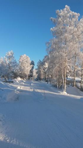 a snowy landscape with trees and snow covered ground at Kyykerin Kartano in Outokumpu