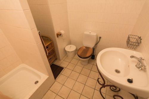 a bathroom with a sink and a toilet and a tub at Holiday Home Usedlost Nový Svět in Růžová