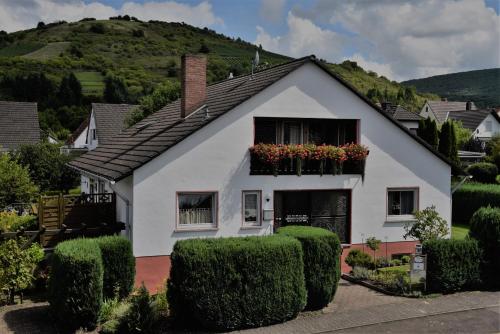 a white house with flowers in a window at Ferienwohnung Euler in Odernheim