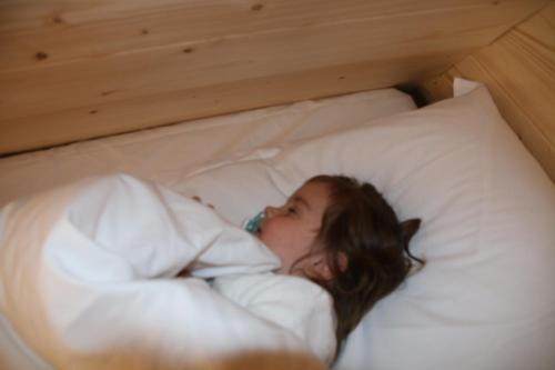 Postel nebo postele na pokoji v ubytování Ecolodge Beauregard