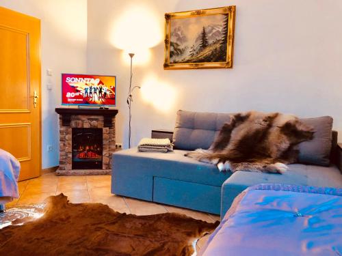 a dog laying on a blue couch in a living room at Golden GaPa Central Family Apartment 27 in Garmisch-Partenkirchen