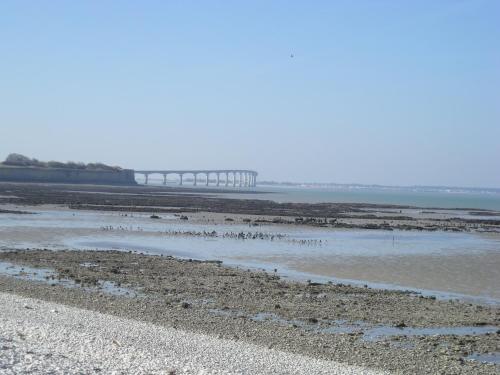 a group of birds standing on the beach with a bridge in the background at Appartement au calme Centre Ville à 2 pas du vieux marché in La Rochelle