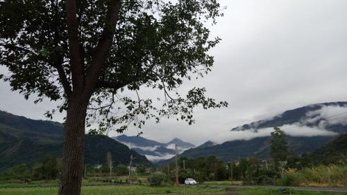 a tree in a field with mountains in the background at One Taitung in Yanping