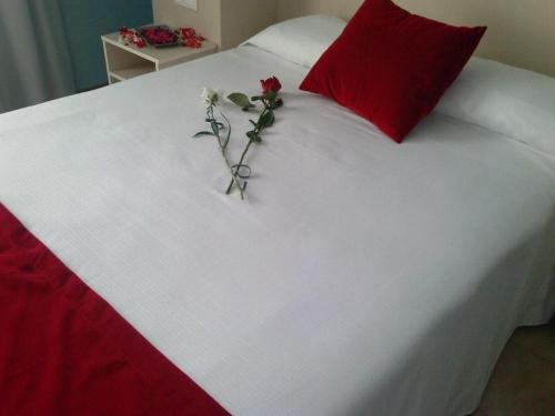 Un pat sau paturi într-o cameră la Hotel Patilla