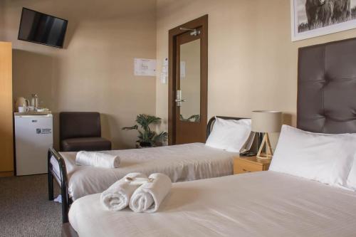 ein Hotelzimmer mit 2 Betten und einem Stuhl in der Unterkunft Campsie Hotel in Sydney