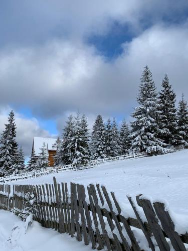a fence covered in snow in front of trees at Agropensiunea Mara in Mărişel