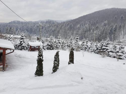 a snow covered yard with trees and a ski lift at Pensiunea Putnisoara in Putnişoara