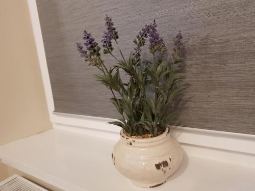 a vase filled with purple flowers sitting on a window sill at Smart & Cozy Holiday Apartment in the city centre in Inverness