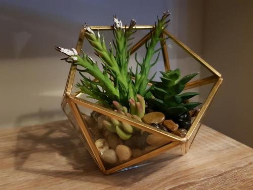 a glass vase with plants in it on a table at Smart & Cozy Holiday Apartment in the city centre in Inverness