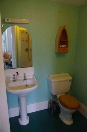 a bathroom with a sink and a toilet and a mirror at The Old Rectory in Annan