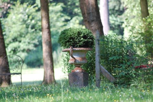 a planter with a green bush in a park at Gîte dans un Domaine Historique in Chevreuse