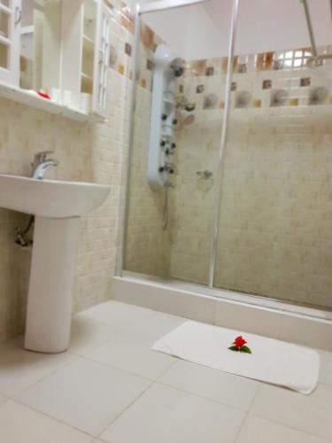 a bathroom with a sink and a shower with a towel at Tourterelle Holiday Home in Grand Anse